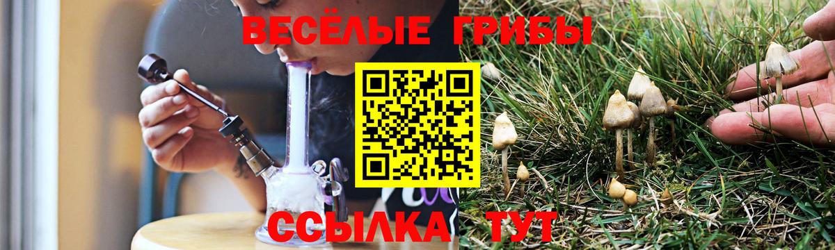 Галлюциногенные грибы мицелий Йошкар-Ола