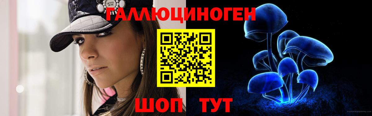 Йошкар-Ола  Галлюциногенные грибы Psilocybine cubensis  закладки  Вход с VPN 